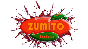 Logo Design by E.Dorranipour for Fuzenet Marketing | Design: #10823689