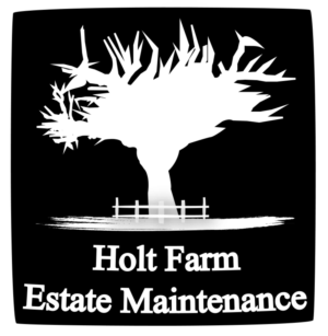 Diseño de Logo por Raneem para este proyecto | Diseño: #10653402