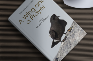 Book Cover Design by Khalid Mehmood