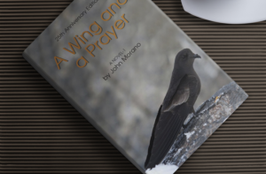 Design de Couverture de Livre par Khalid Mehmood pour Grey Gecko Press | Design : #10636025