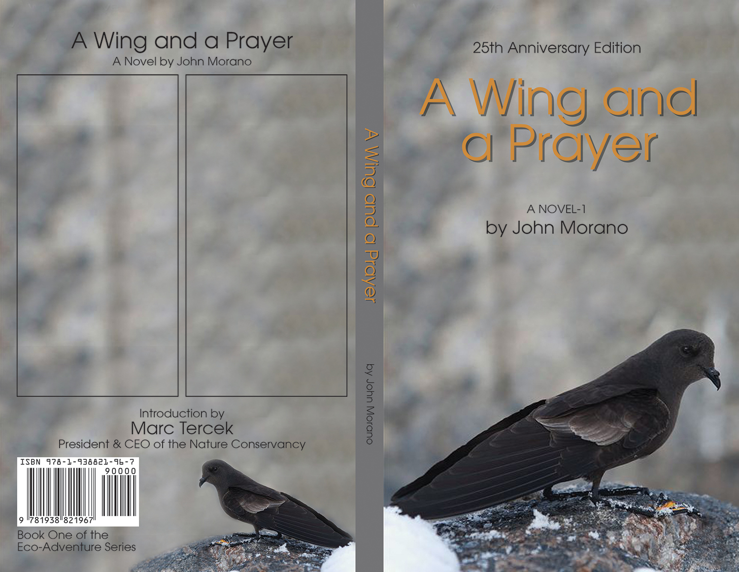 Book Cover Design by Khalid Mehmood for Grey Gecko Press | Design #10644708