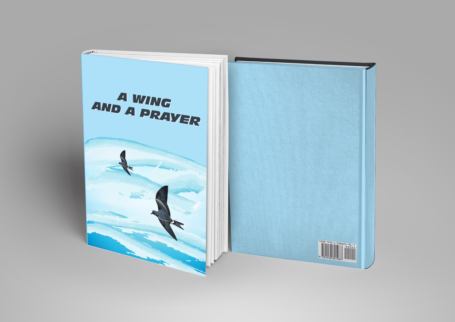 Diseño de portada de libro por DG para Grey Gecko Press | Diseño #10682163