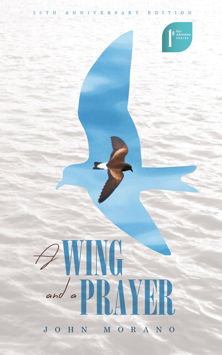 Book Cover Design by Sarina.dsg for Grey Gecko Press | Design #10713220