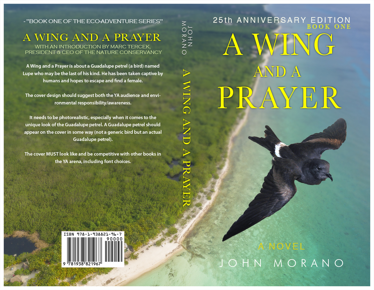 Book Cover Design by illuminati-design for Grey Gecko Press | Design #10703585