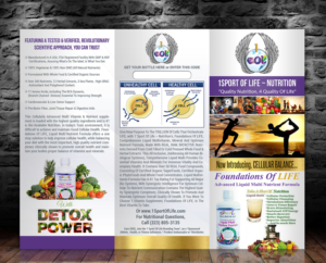 Design de Brochure par SD Web Creation