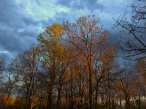 Photography by Ataxia