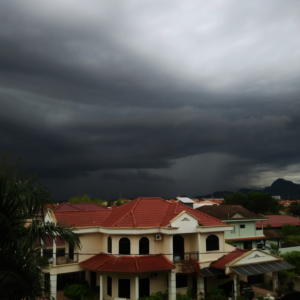 Photography by Anil Ruchal