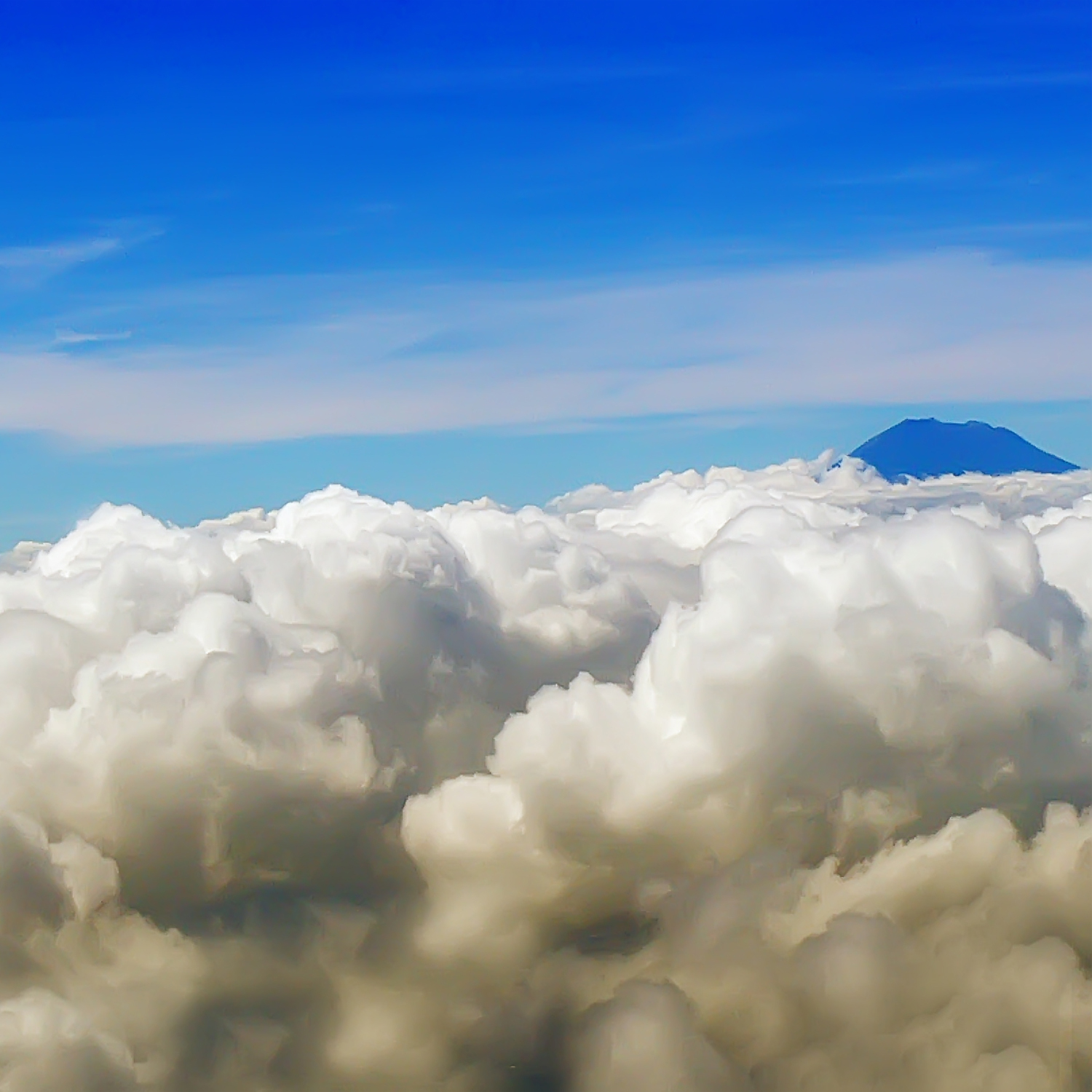 Photographie par 27AD pour DesignCrowd (Community Contests) | Design #10561864