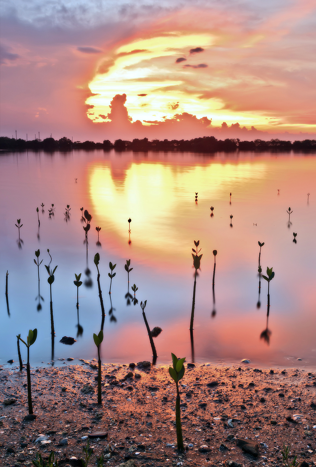 Photography by clrvync for DesignCrowd (Community Contests) | Design #10582857