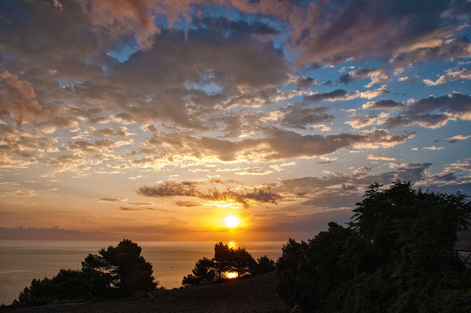 Photography by Neohiro for DesignCrowd (Community Contests) | Design #10558936
