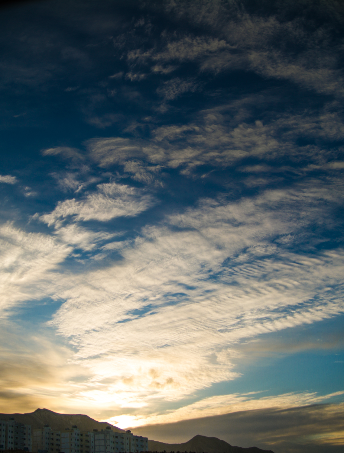 Photographie par Alireza Shekouhian pour DesignCrowd (Community Contests) | Design #10592229