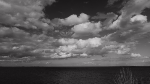 Photography by Tolga