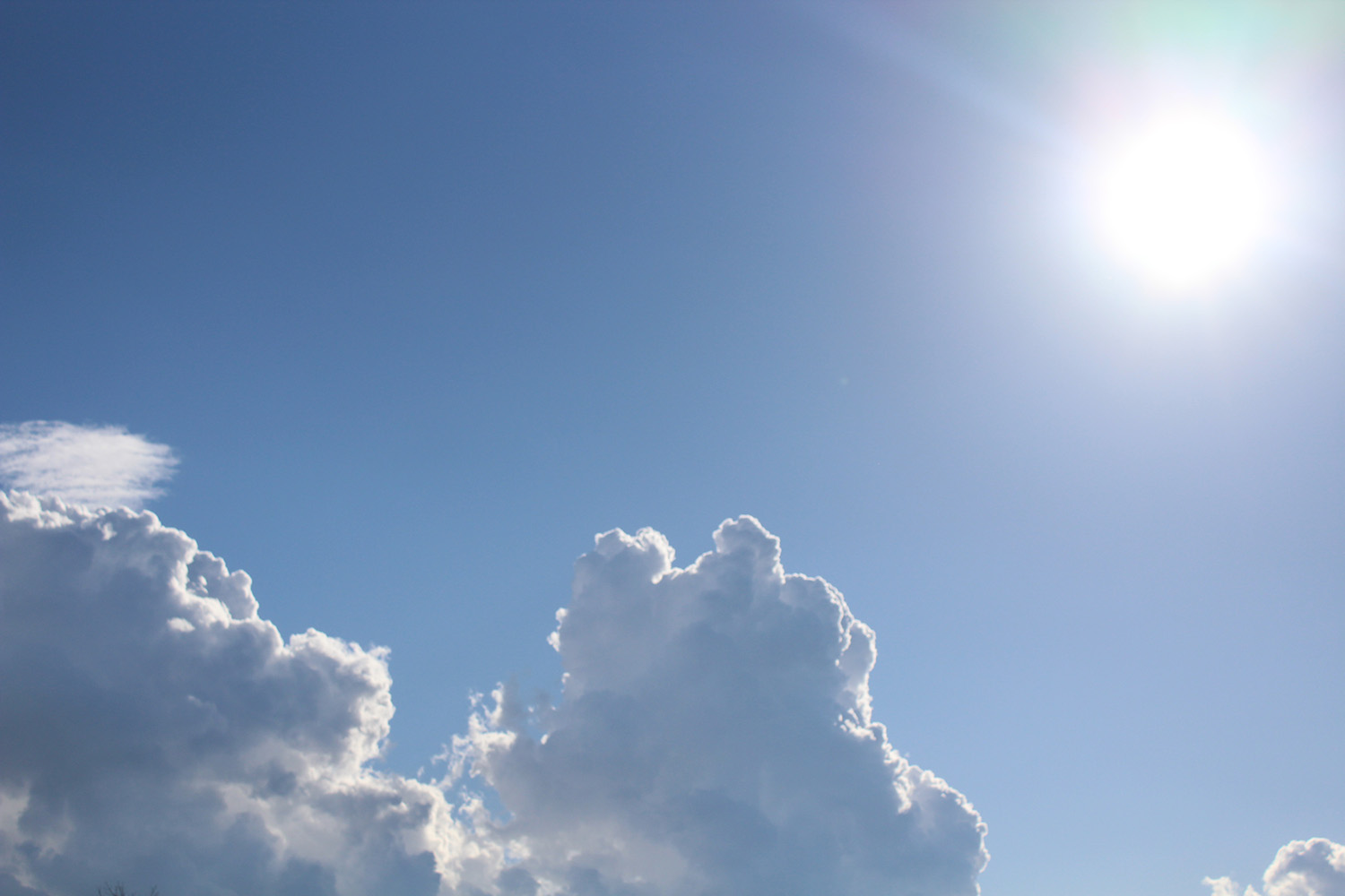 Photography by mmason0649 for DesignCrowd (Community Contests) | Design #10575921