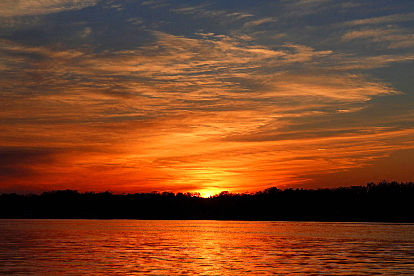 Photography by tkopetzky3695 for DesignCrowd (Community Contests) | Design #10563239