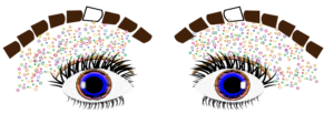 Illustration Design by susanwfinn