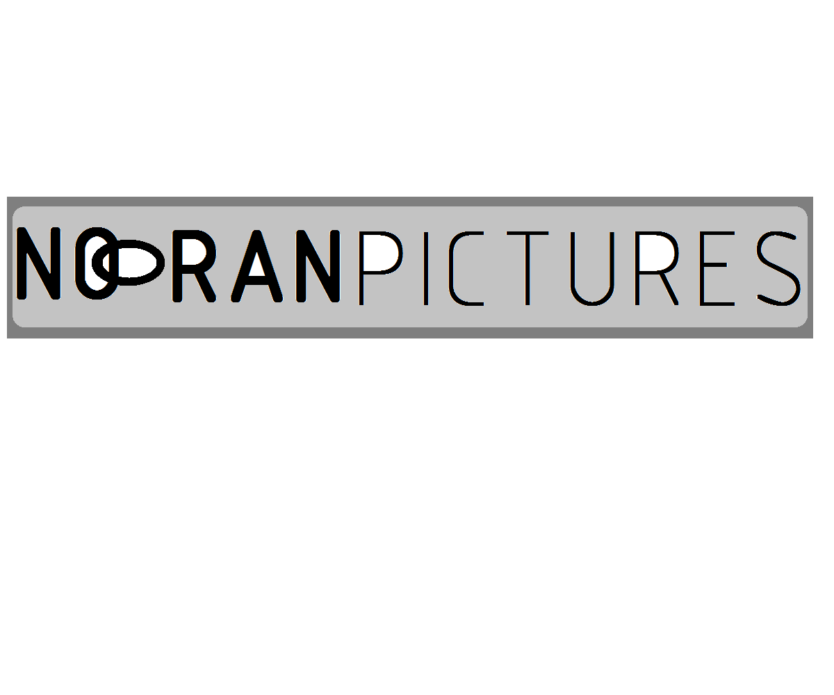 Logo Design by Hanelie for Nooran Pictures | Design #2217524