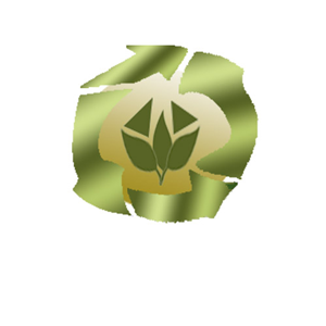 Diseño de Logo por James para este proyecto | Diseño: #2219465