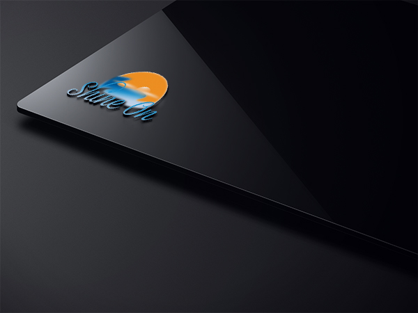 Design de Logo par EGYPT KING pour Shine On Pressure Washing | Design #10546036