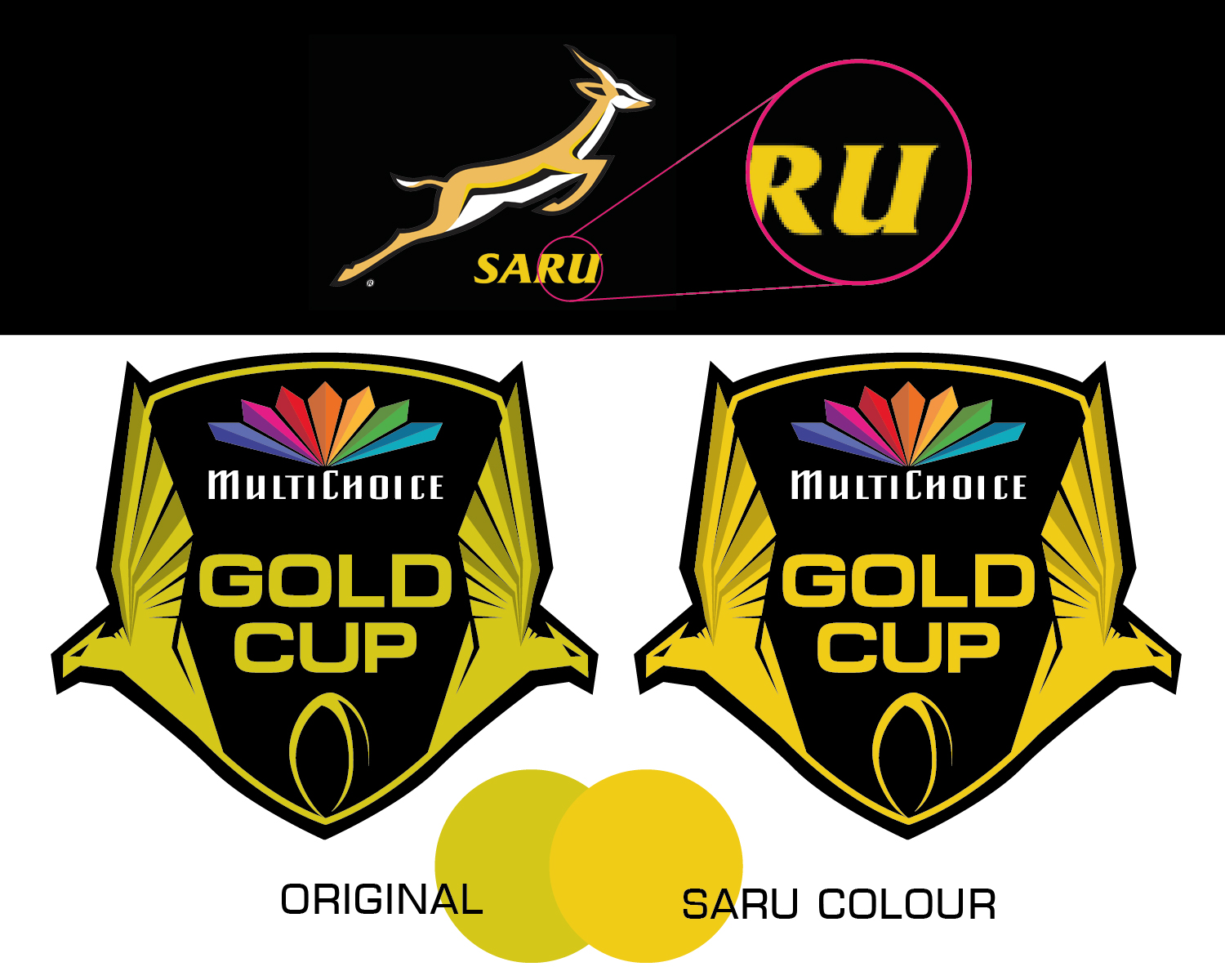 Logo Design by Garth Jones for South African Rugby Union | Design #10718592