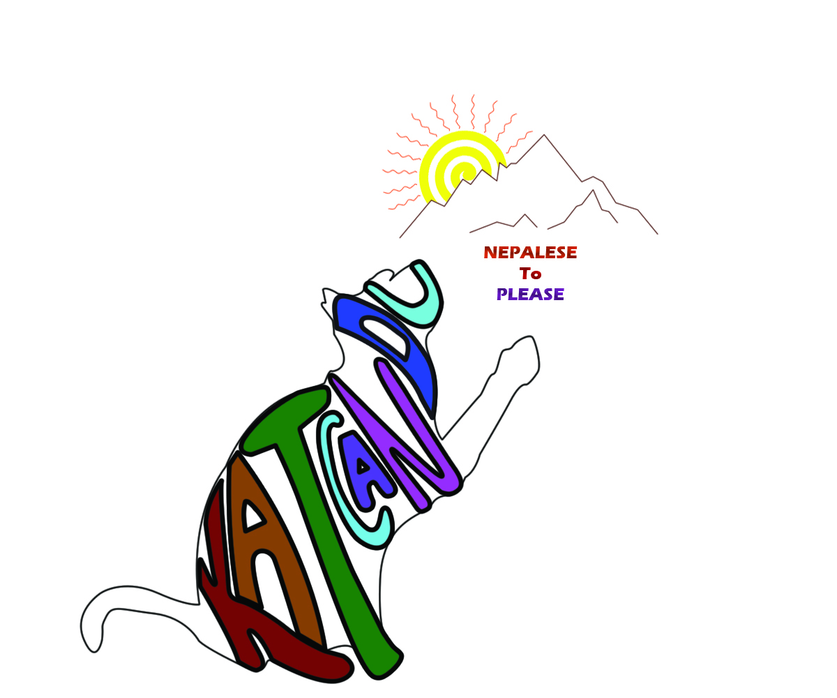 Diseño de Logo por alqai para KATCANDU | Diseño #2225754