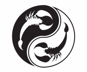 Logo Design by KING OF THE KINGS