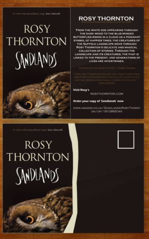 Postcard Design by Essam worlds Pen 