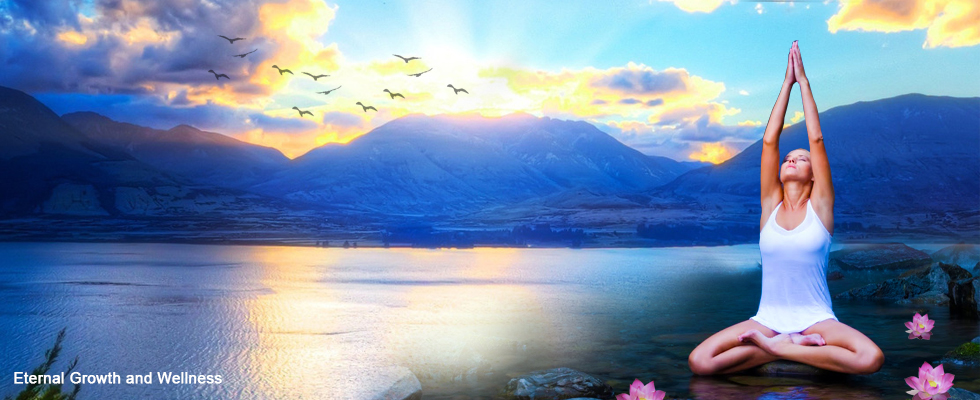 Banner Ad Design by kecy08 for Living with Purpose Network | Design #2267622