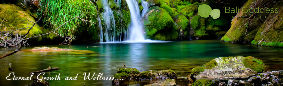 Banner Ad Design by kecy08 for Living with Purpose Network | Design #2313892