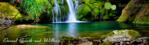 Banner Ad Design by kecy08 for Living with Purpose Network | Design: #2313892