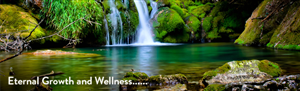 Banner Ad Design by kecy08 for Living with Purpose Network | Design: #2319393