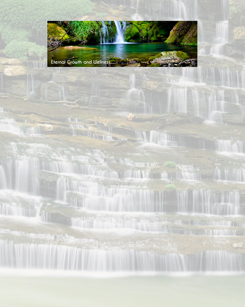 Diseño De Banner Publicitario por kecy08 para Living with Purpose Network | Diseño #2321672