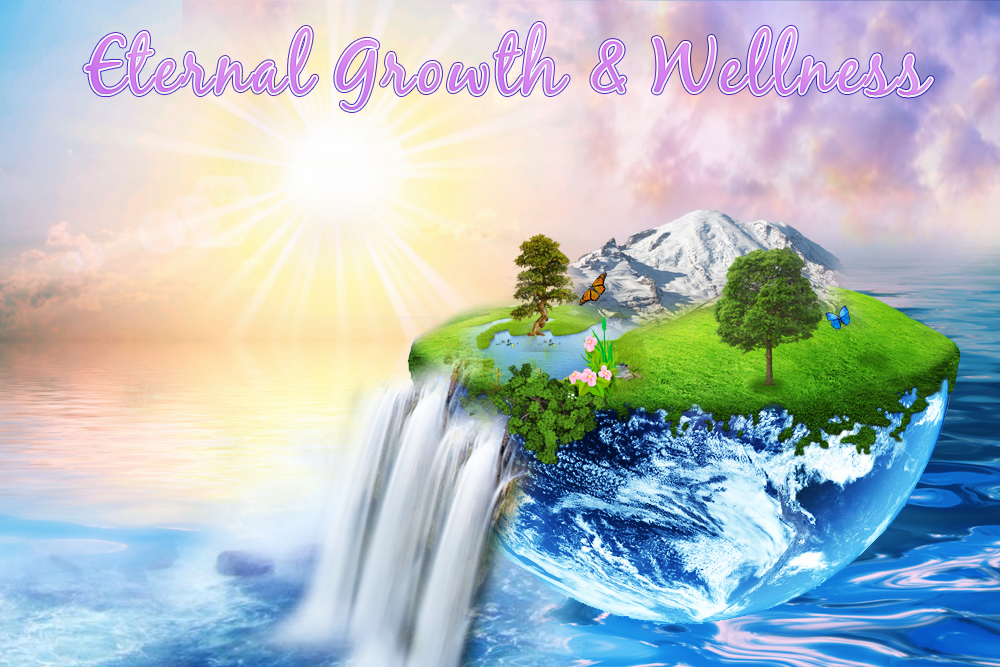 Diseño De Banner Publicitario por jasmine para Living with Purpose Network | Diseño #2276213