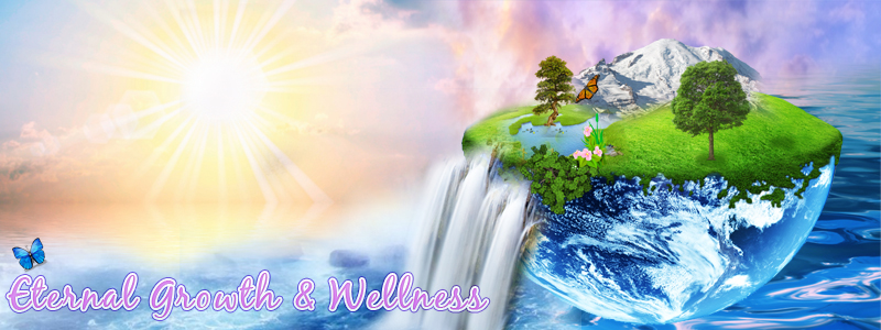 Banner Ad Design by jasmine for Living with Purpose Network | Design #2276220