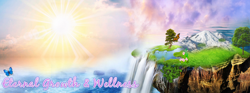 Diseño De Banner Publicitario por jasmine para Living with Purpose Network | Diseño #2278289