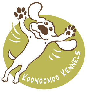 Logo Design by Svety