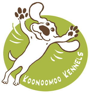 Logo Design by Svety for this project | Design: #2223943