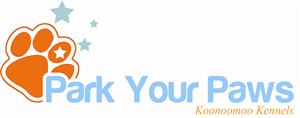 Logo Design by Clever Solutions