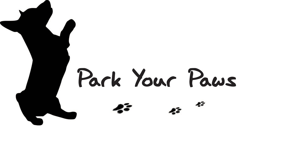 Logo Design by Bogdan Stanagui for this project | Design #2229163