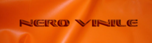 Diseño de Logo por E.Dorranipour para este proyecto | Diseño: #10602606