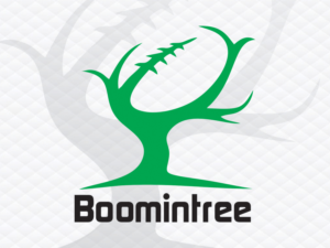 Logo Design by nibzzmathews