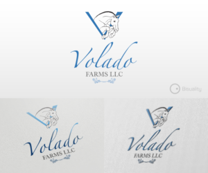 Logo Design by Bisuality