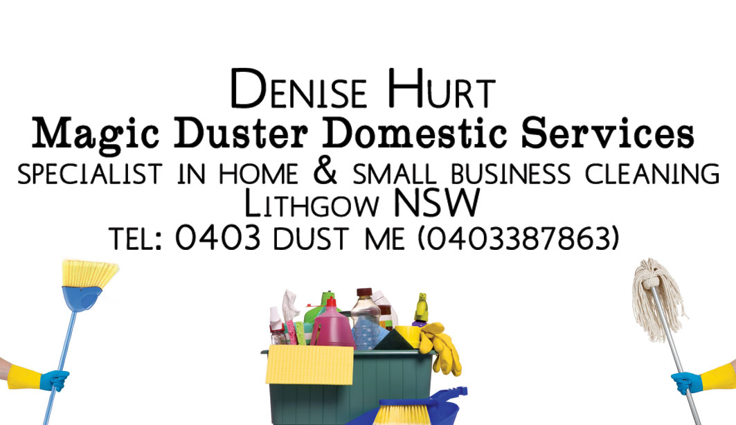 Business Card Design by  Sarah W for Magic Duster Domestic Services | Design #2253864