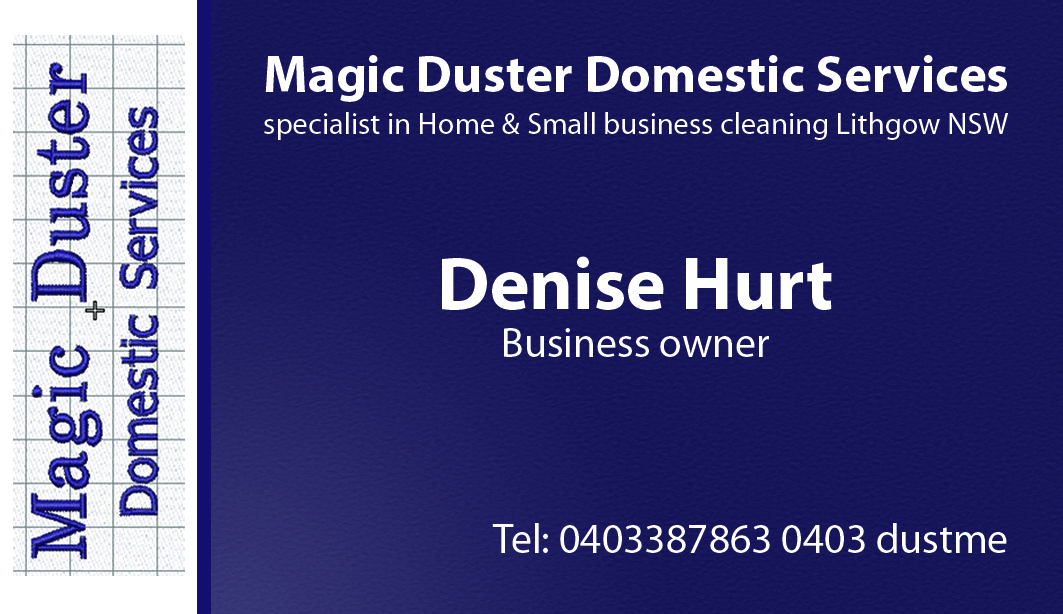 Business Card Design by dickenArt for Magic Duster Domestic Services | Design #2243158