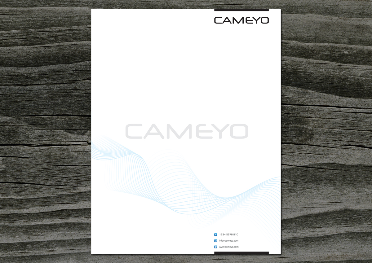 PowerPoint Design by Ucal for Cameyo | Design #468712
