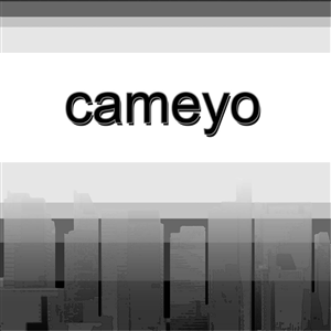 PowerPoint Design by GrFx for Cameyo | Design: #460345