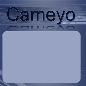 PowerPoint Design by GrFx for Cameyo | Design: #461690