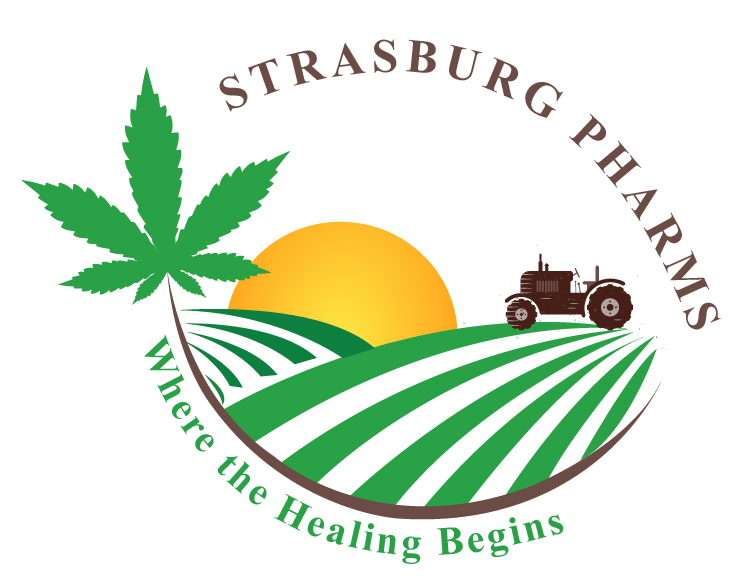 Logo Design by Himanshi10 for this project | Design #10766875
