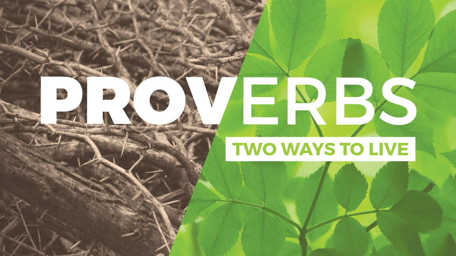 Proverbs sermon series artwork 24 graphic designs for northeast