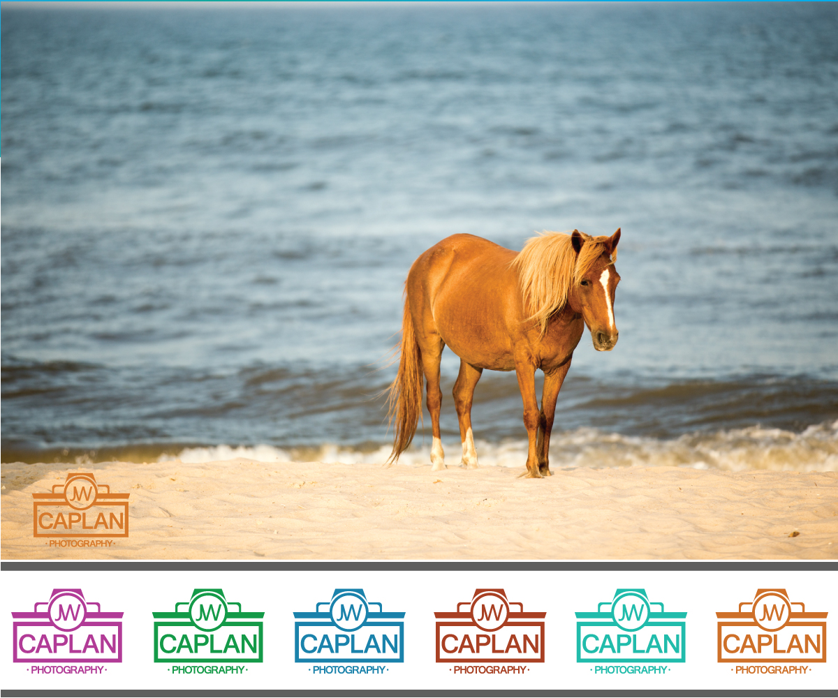 Logo Design by ICKE for JW Caplan Photography | Design #2305517