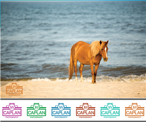 Logo Design by ICKE for JW Caplan Photography | Design: #2305517